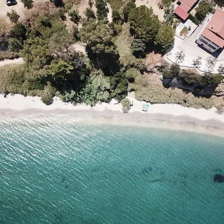 Orfanos