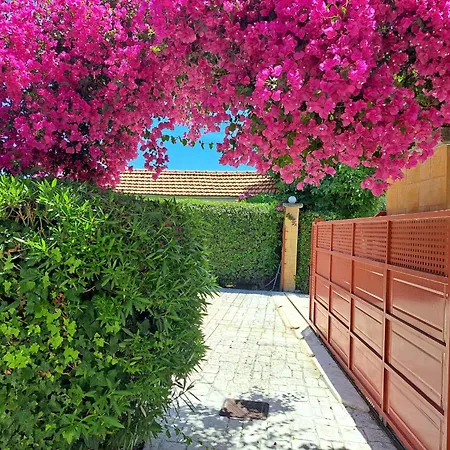 Orfanos Holiday home Armenoi (Messenia)